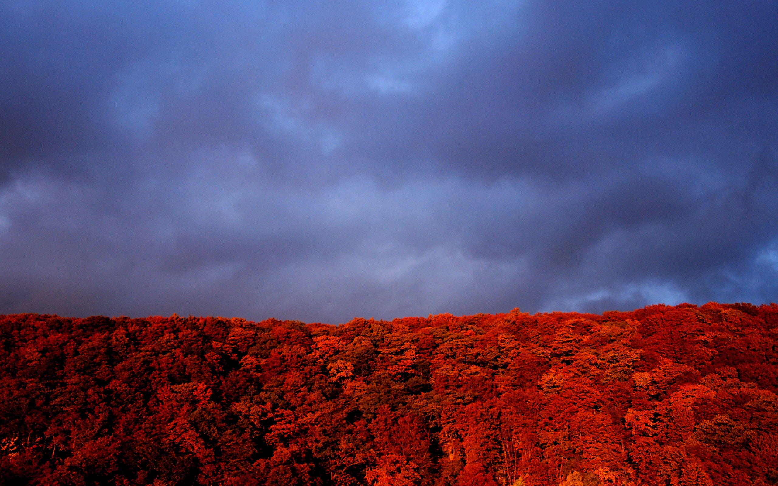    2560x1600 ::  1